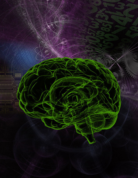 目前科学家可以通过脑扫描来预测智商