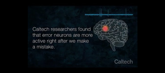 How the Brain Learns from Mistakes