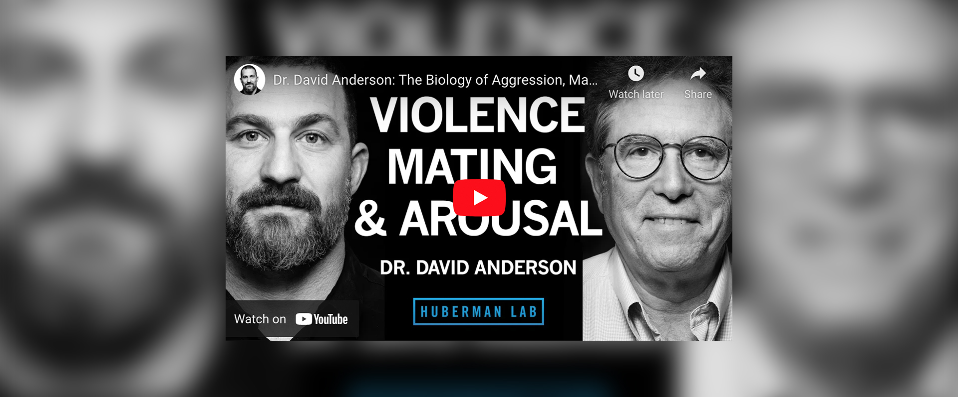 Huberman Lab Podcast interviews David Anderson about the biology of violence, mating and arousal