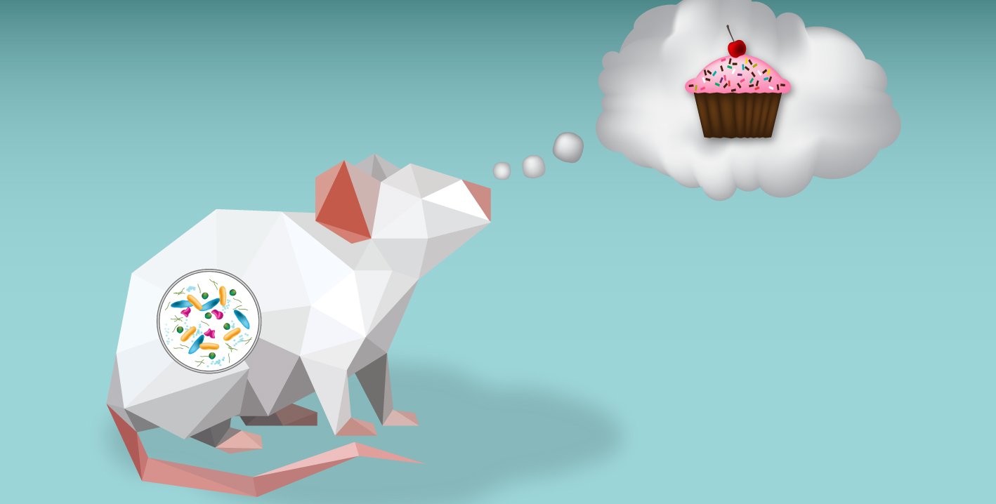 肠道微生物影响小鼠对甜食的暴饮暴食