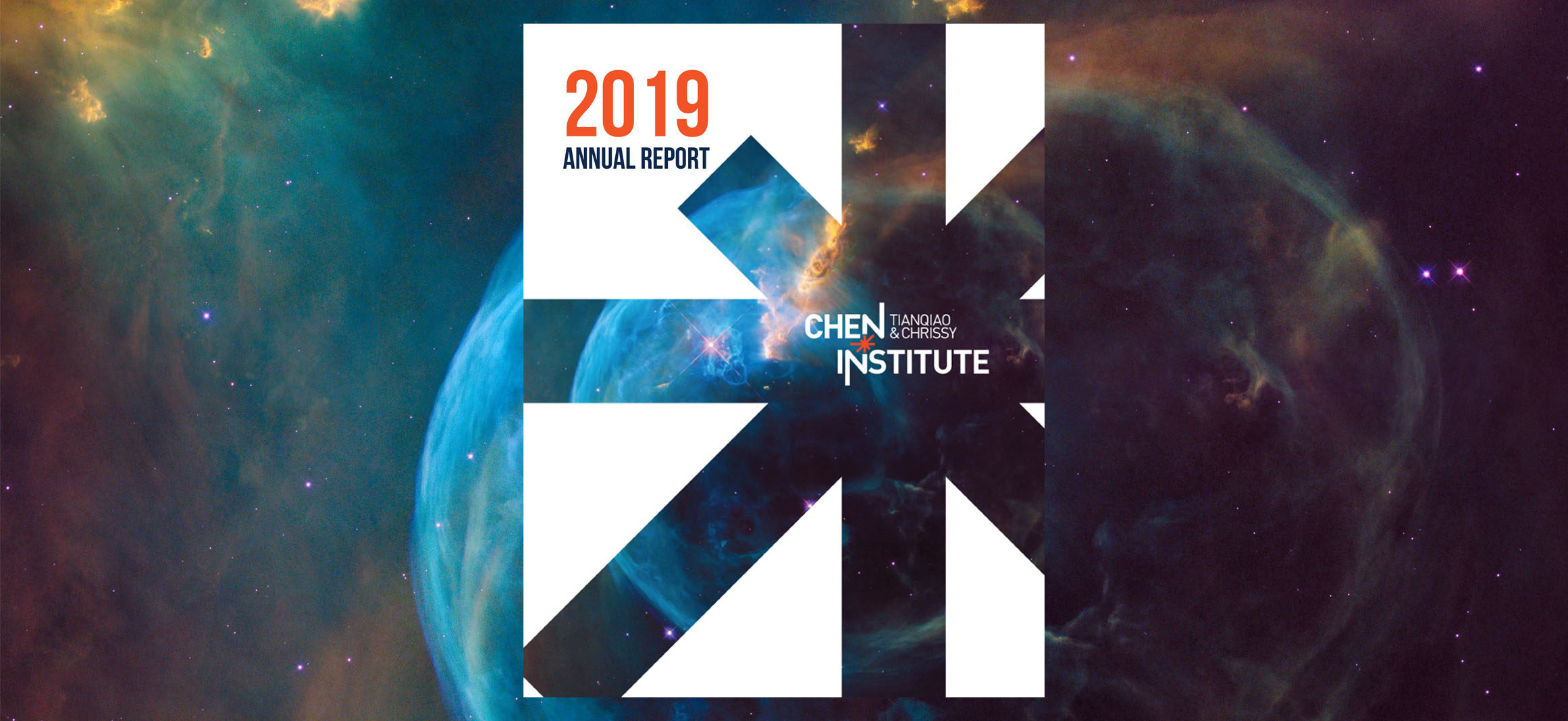 TCCI 2019 年度报告