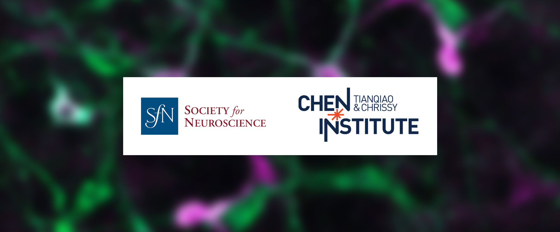 SfN Announces Partnership With the Tianqiao and Chrissy Chen Instituteto Support Early Career Scientists