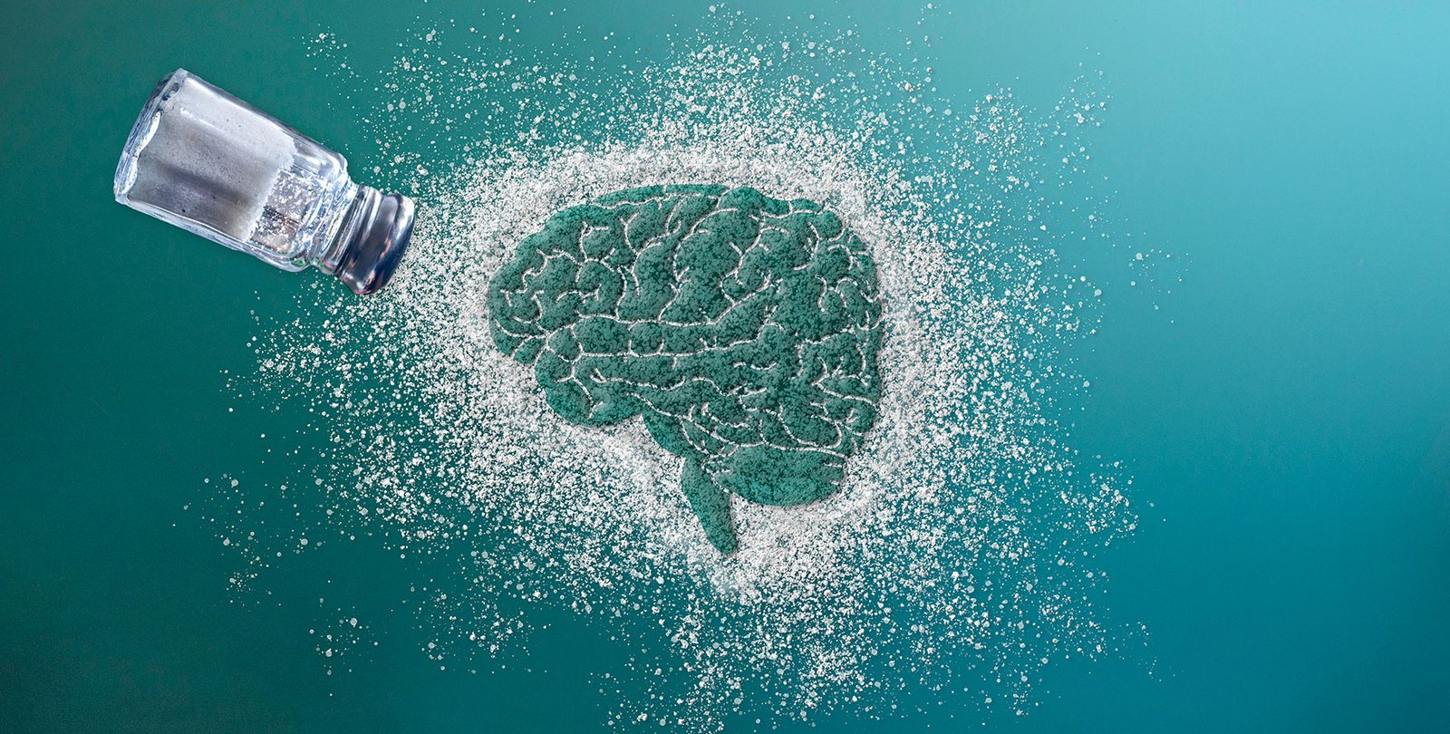 Newly Discovered Brain Circuit Controls An Aversion to Salty Tastes