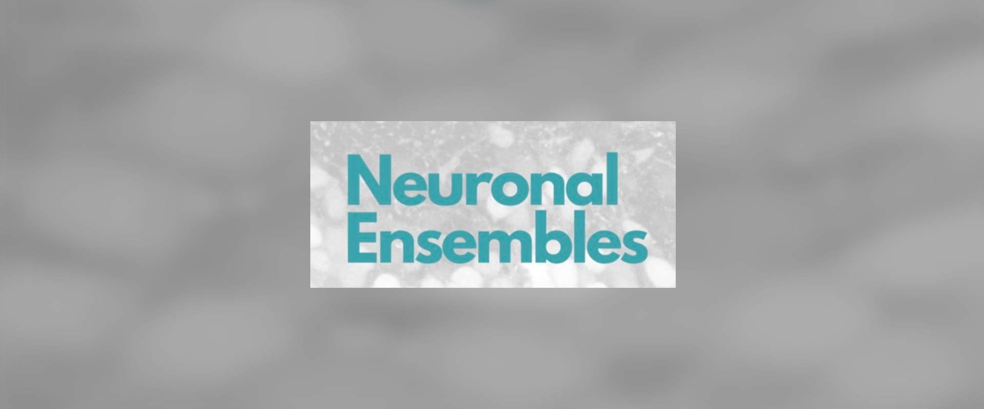 Neuronal Ensembles 2024