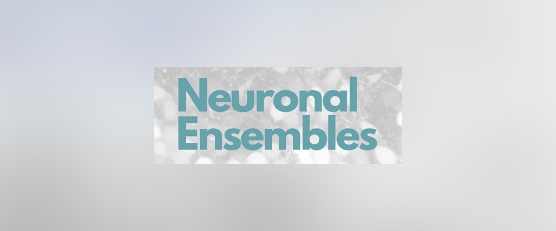 Neuronal Ensembles 2024