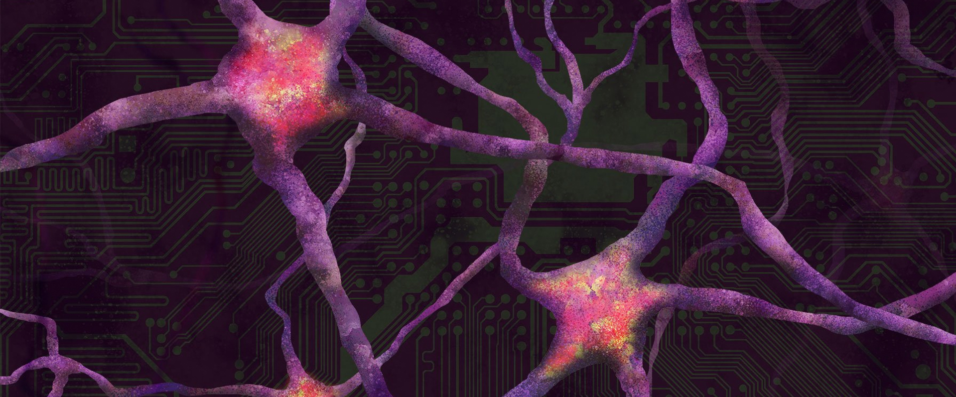 On the Same Wavelength: Neural “Fingerprints” Indicate Deep Focus Flow States in Teams