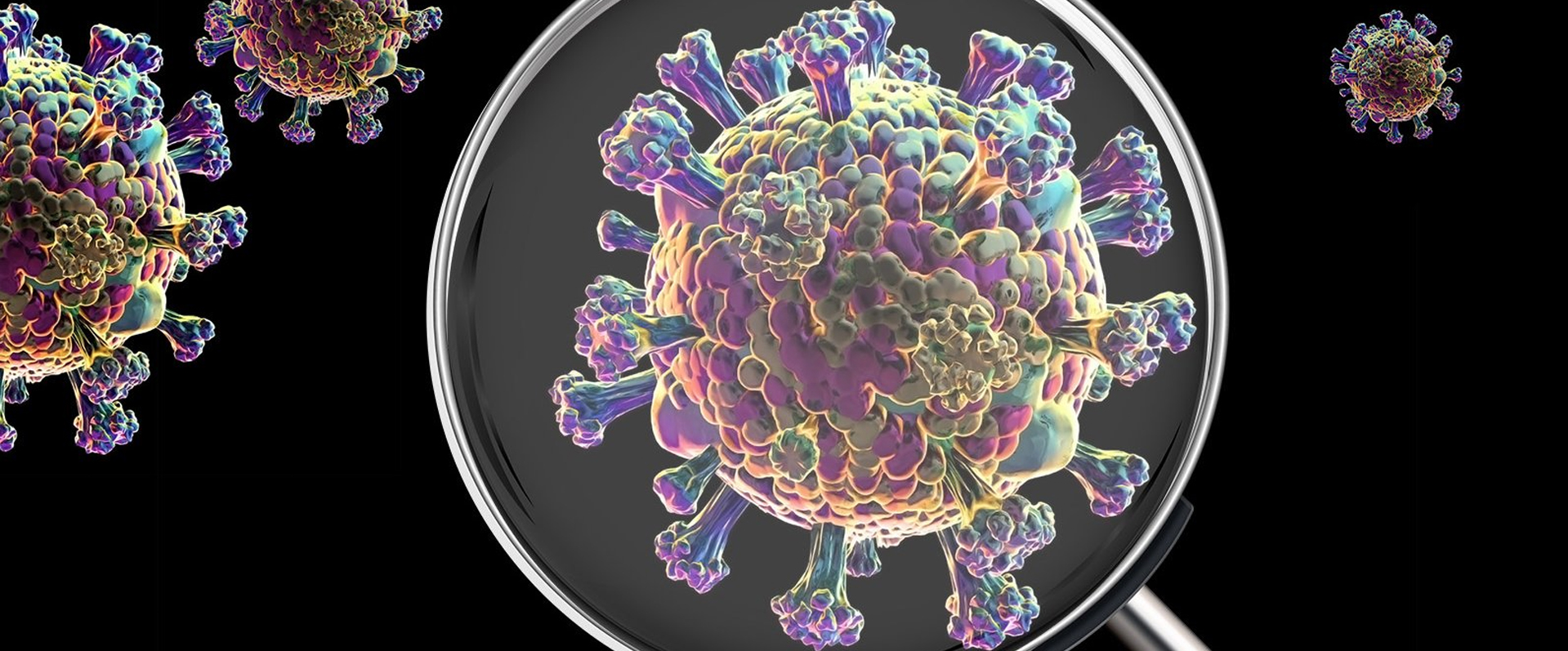 A New Tool to Detect Viruses in Sequence Data